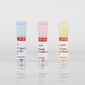 CellBrite&reg; Cytoplasmic Membrane Dyes
