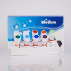 AccuBlue&reg; Broad Range dsDNA Standards, Set of Nine
