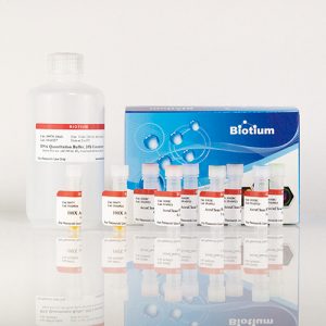 AccuClear&reg; Ultra High Sensitivity dsDNA Quantitation Kit with DNA Standards