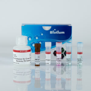 PMA Real-Time PCR Bacterial Viability Kit – E. coli (uidA)