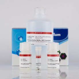 AccuGreen&trade; High Sensitivity dsDNA Quantitation Kit