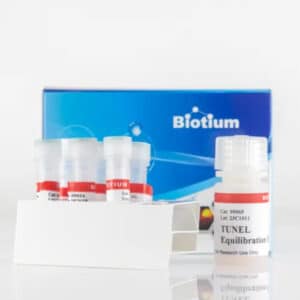 TUNEL Assay Apoptosis Detection Kit