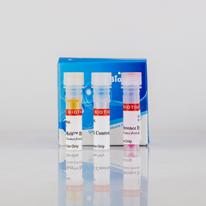 GloMelt&trade; 2.0 Thermal Shift Protein Stability Kit