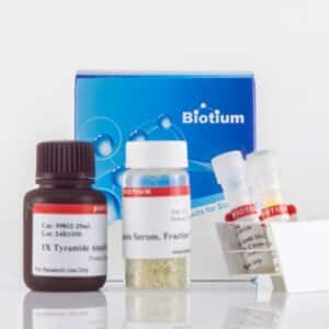 Tyramide Amplification Kit with HRP Streptavidin and CF&reg; Dye or Biotin Tyramide