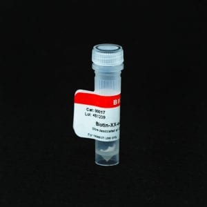Biotin-XX-&alpha;-Bungarotoxin