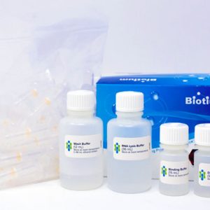 CELLDATA RNAstorm&trade; Fresh Cell and Tissue RNA Isolation Kit