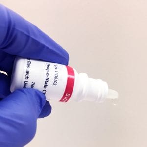 Drop-n-Stain&trade; CF&reg; Dye Goat Anti-Rabbit IgG (H+L), Highly Cross-Adsorbed