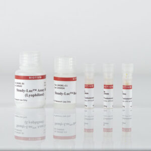 Steady-Luc&trade; Firefly HTS Assay Kit (Lyophilized)