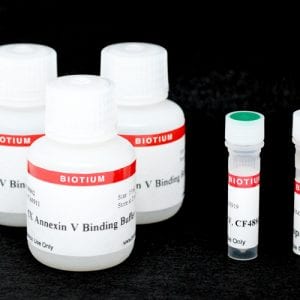 CF&reg;488A Annexin V and PI Apoptosis Kit