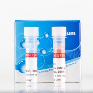 NucView&reg; 488 and MitoView&trade; 633 Apoptosis Assay Kit