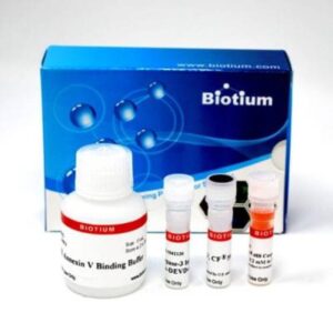 Dual Apoptosis Assay with NucView&reg; 488 Caspase-3 Substrate & Annexin V