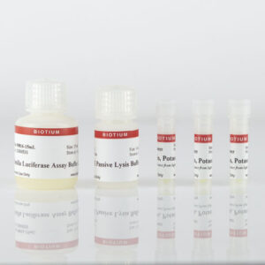 Renilla Luciferase Assay Kit 2.0