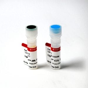 LipidSpot&trade; Lipid Droplet Stains