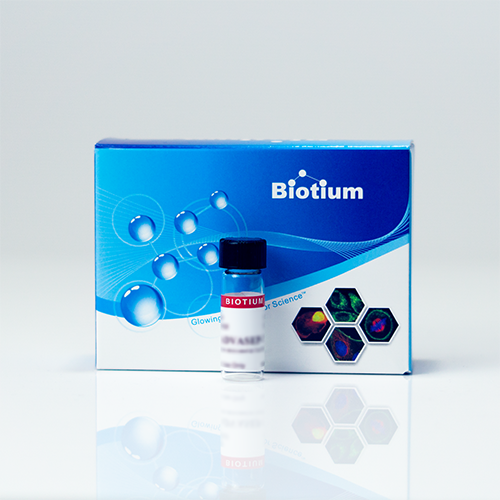 Biotin TS Ethylenediamine