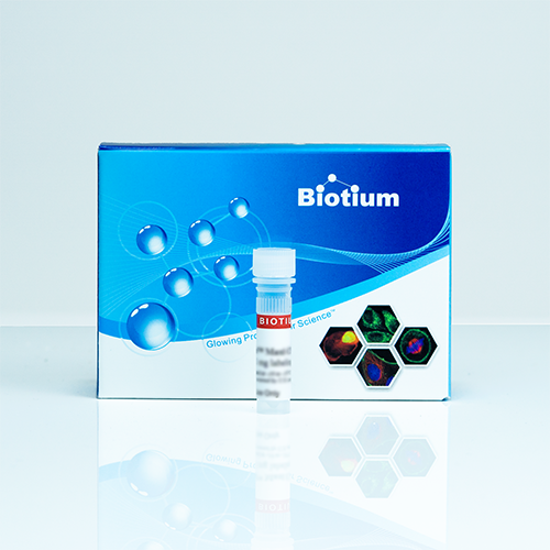 Biotin-20-UTP, 10 mM Solution