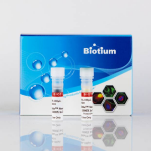 CellBrite&reg; Steady Membrane Staining Kits