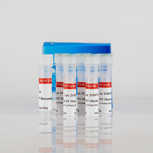 ExoBrite&trade; STORM CTB EV Staining Kits