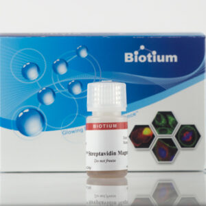ExoBrite&trade; Streptavidin Magnetic Beads