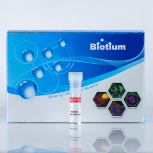 BactoSpore&trade; Bacterial Stains