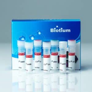 Donkey Anti-Goat IgG (H+L), Highly Cross-Adsorbed, CF® Dye Conjugates, Single Label for STORM
