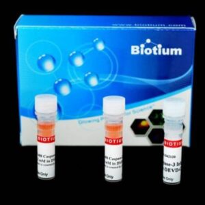 NucView&reg; 488 Caspase-3 Assay Kit for Live Cells