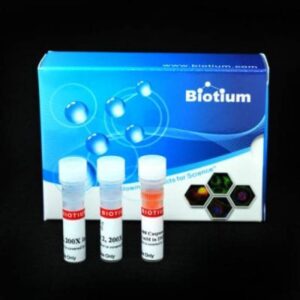 NucView&reg; 488 and RedDot&trade; 2 Apoptosis and Necrosis Kit